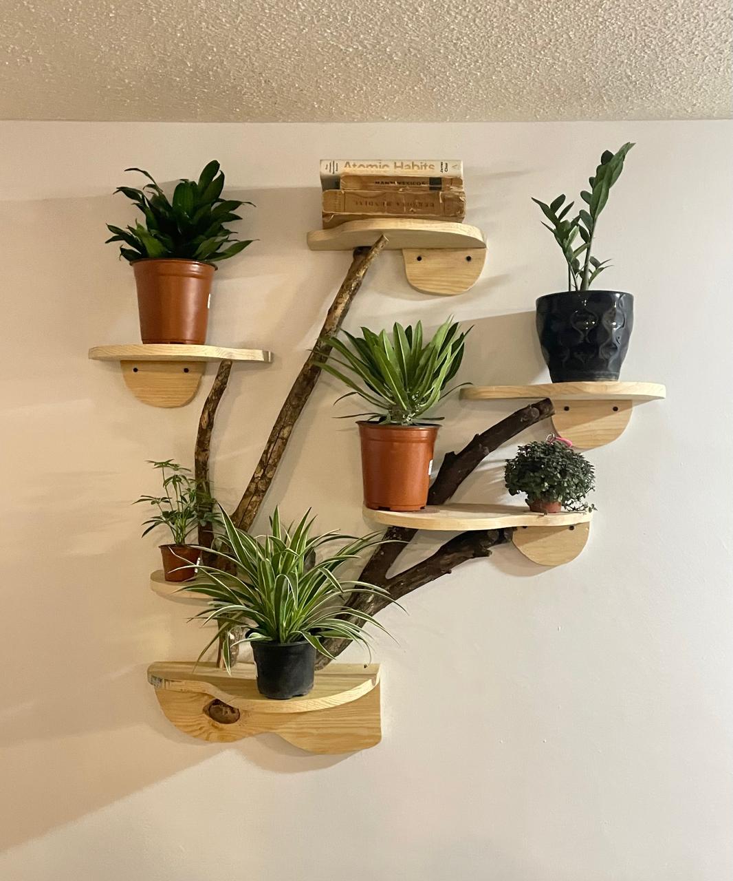 Decorativo de plantas con ramaje natural