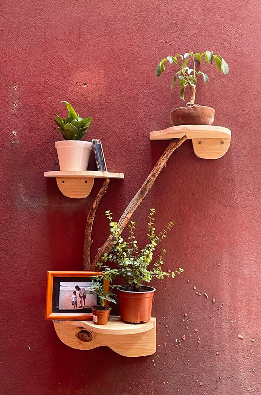Decorativo con ramaje natural y 3 plantas