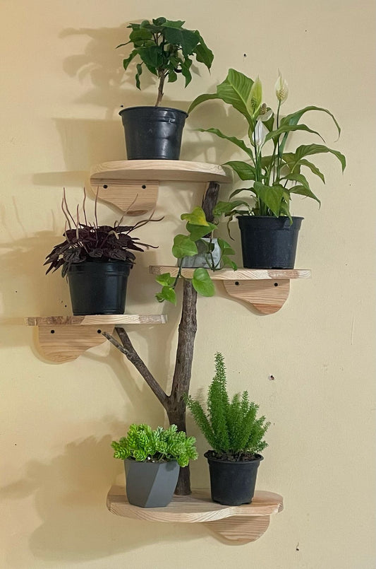Decorativo con Ramaje Natural y Plantas